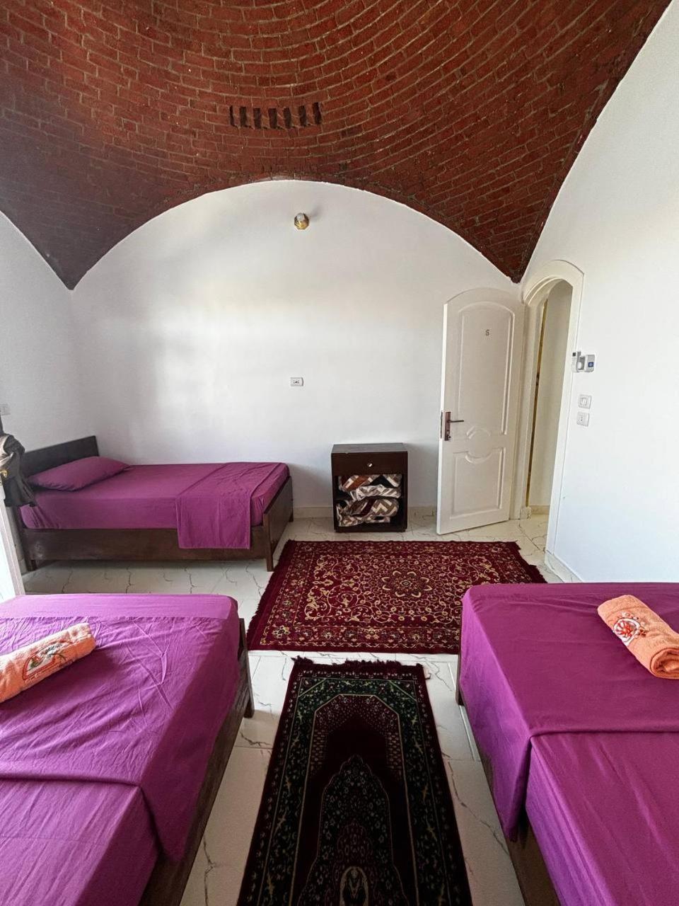 Nile View Guest House Asvan Dış mekan fotoğraf