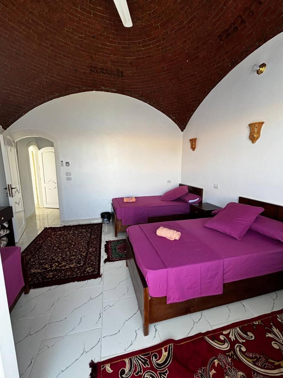 Nile View Guest House Asvan Dış mekan fotoğraf